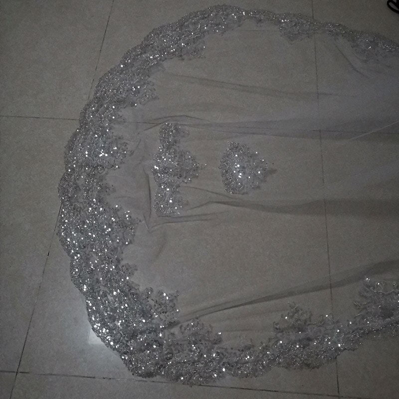 Diamond Shiny Luminous Luxurious Veil Fully Beaded Embroidered Veil 2023 New Cathedral Wedding Accessories Bridal Long Veil Lomwn