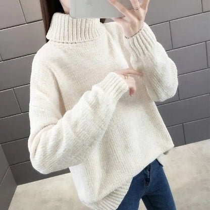Chenille Turtleneck Sweater Lomwn